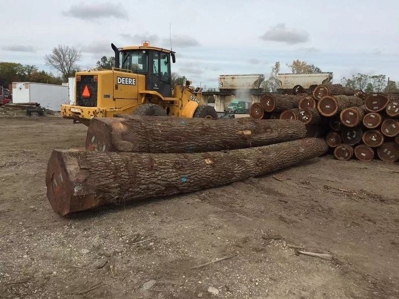 Китай Dongguan Yinghui Wood Industry Co., Ltd. Профиль компании