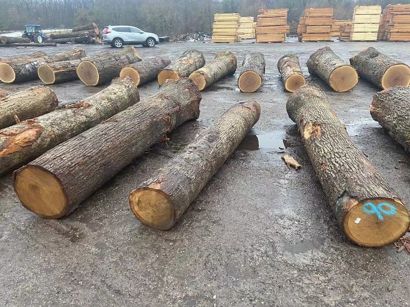 Китай Dongguan Yinghui Wood Industry Co., Ltd. Профиль компании