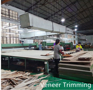 Dongguan Yinghui Wood Industry Co., Ltd. производственная линия производителя